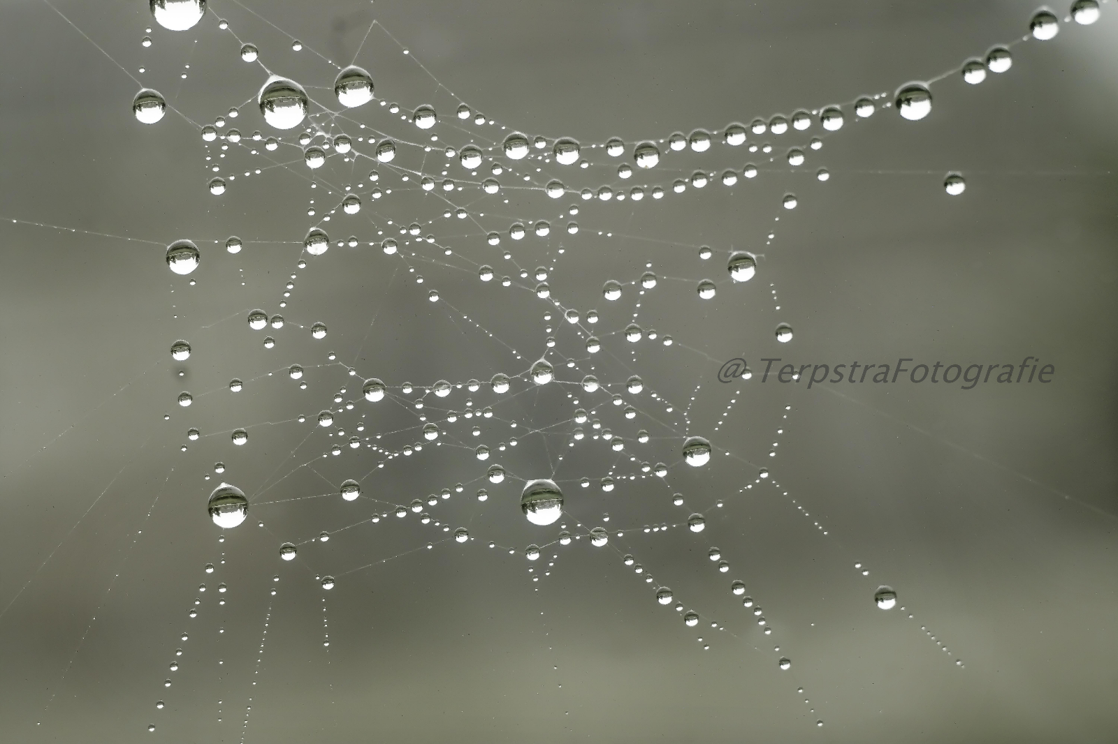 Waterdrops 