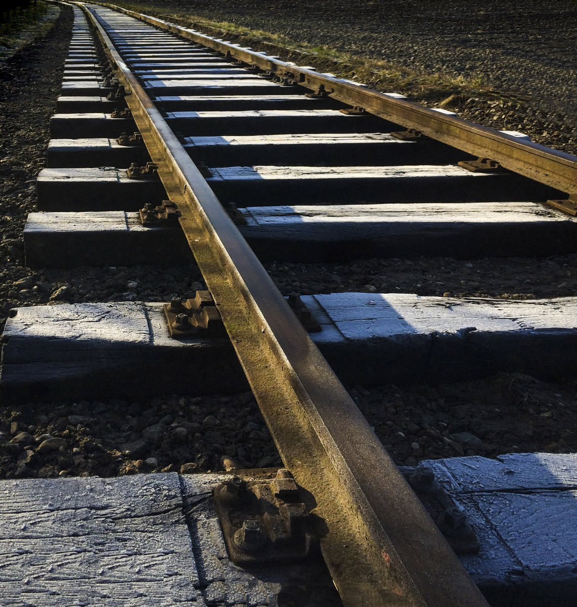 Rail,ice,perspect,winter