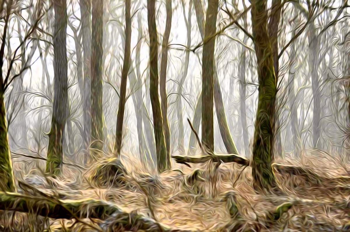 170201 001 bewerkt bewerkt